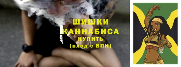 стафф Няндома