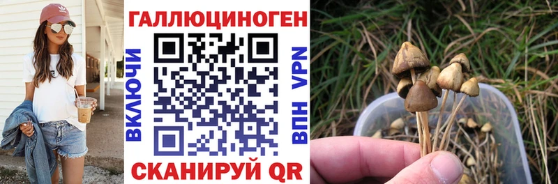 купить Николаевск-на-Амуре Псилоцибиновые грибы Magic Shrooms